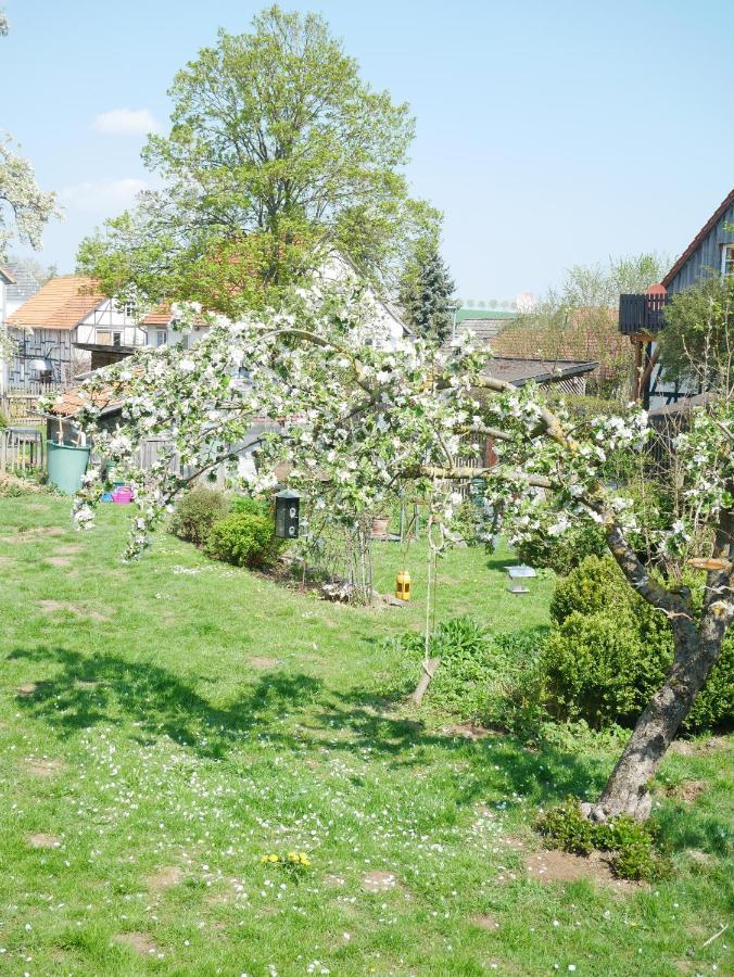 Tiny Ferienhaus Kelze Hofgeismar Esterno foto
