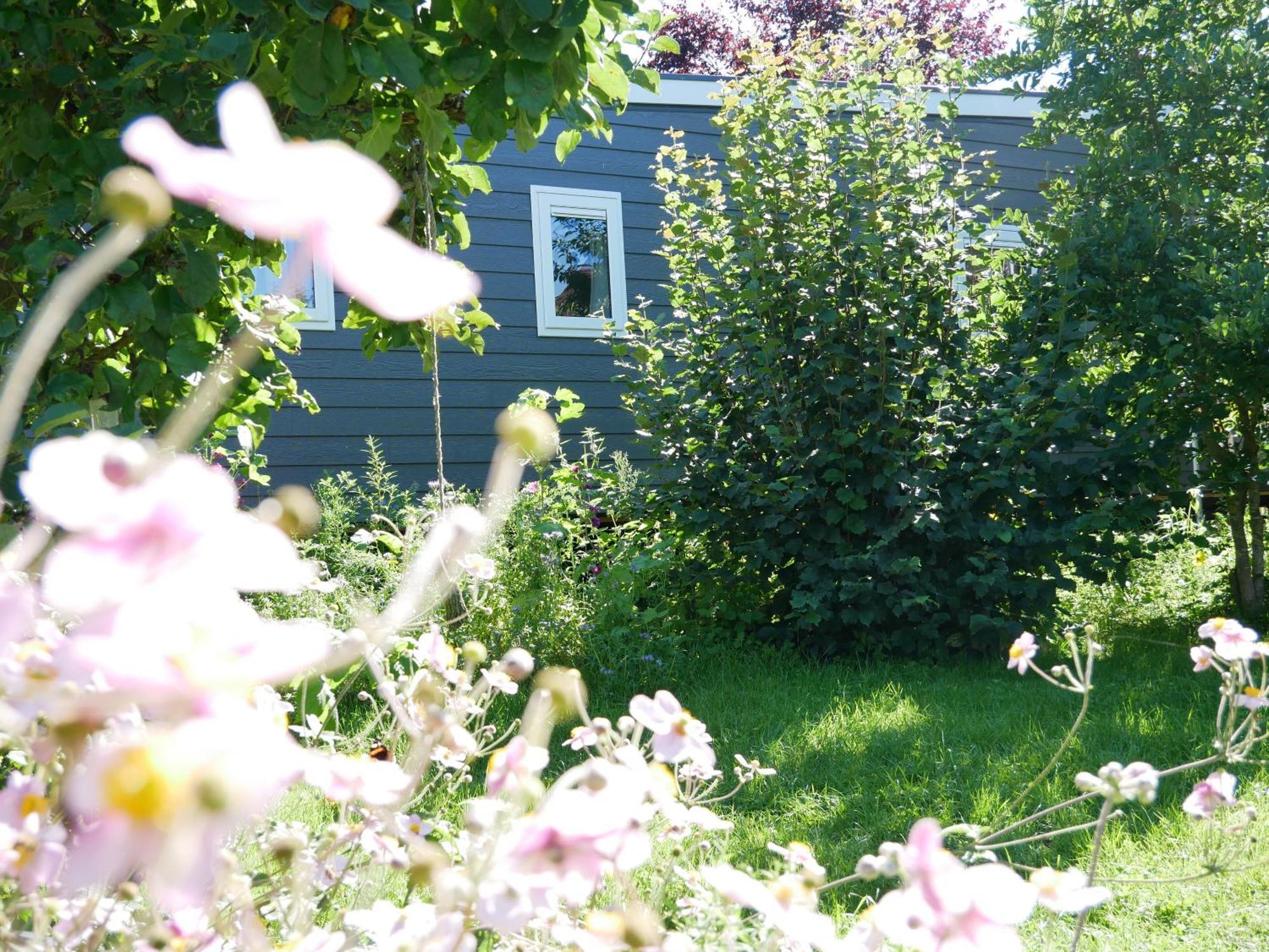 Tiny Ferienhaus Kelze Hofgeismar Esterno foto